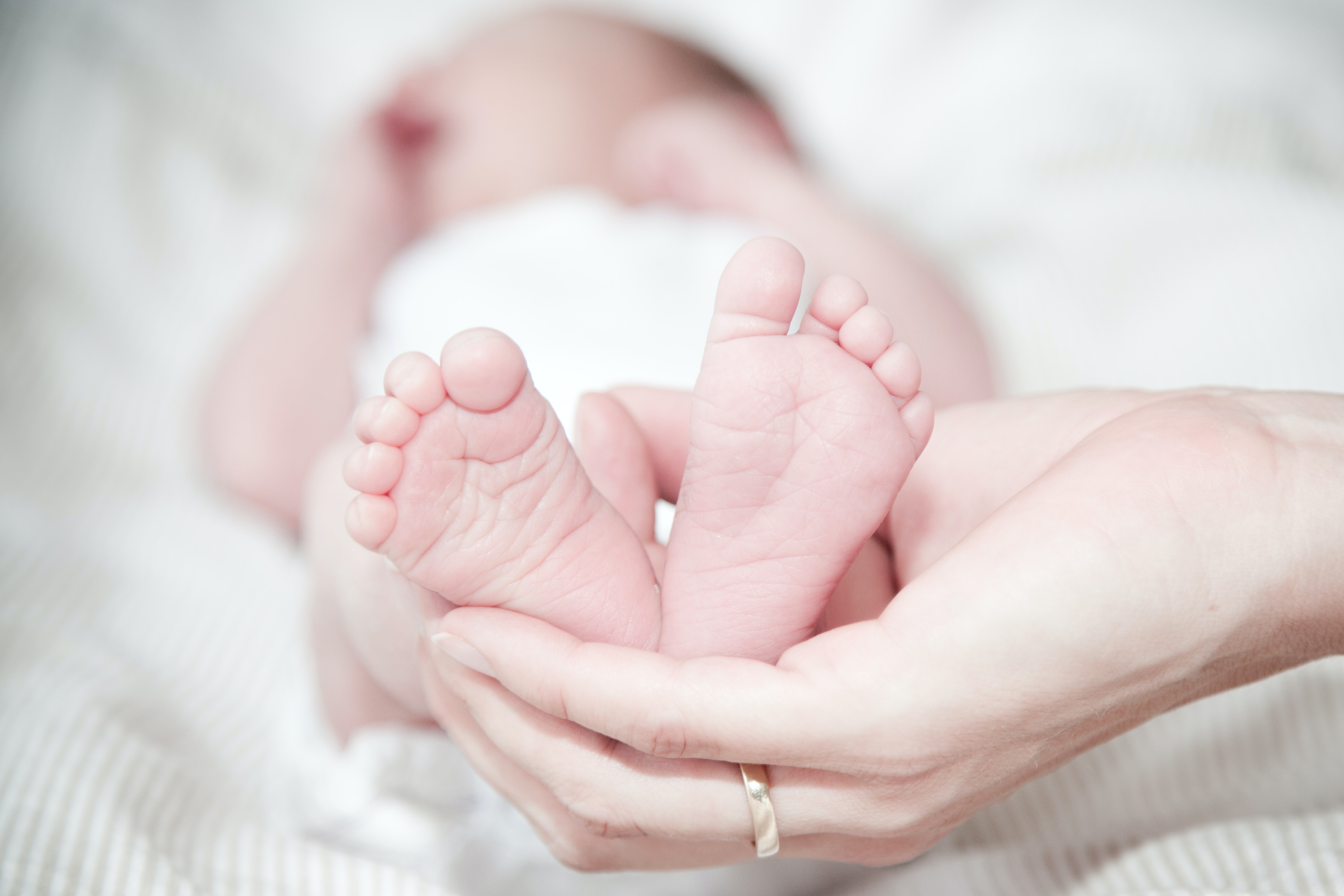 Baby's feet resting atop palm